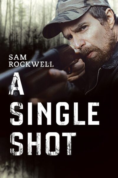 A Single Shot (2013)