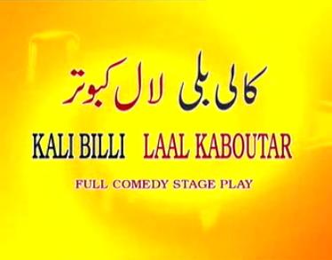 Kali Billi Laal Kabotar
