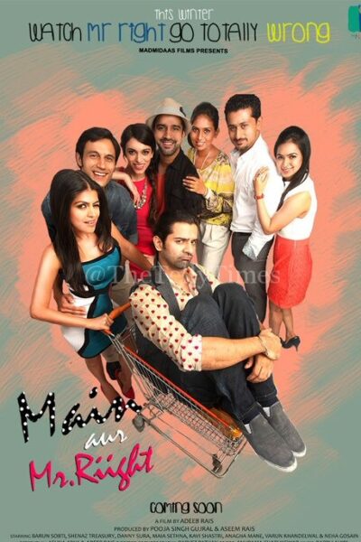 Main Aur Mr Riight (2014)