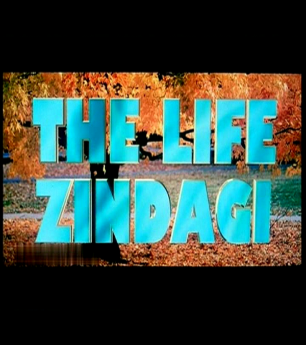 The Life Zindagi