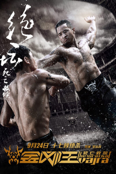 The Wrath of Vajra (2013)