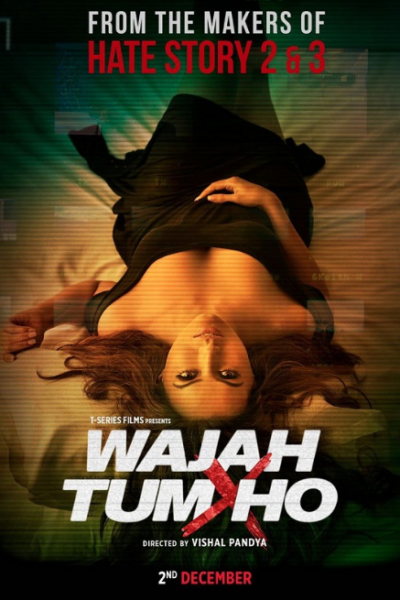 Wajah Tum Ho (2016)