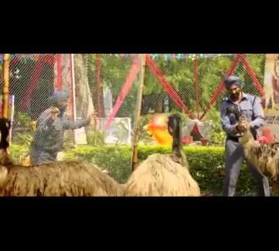 Singh Is King