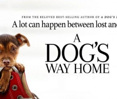 A Dogs Way Home (2019)
